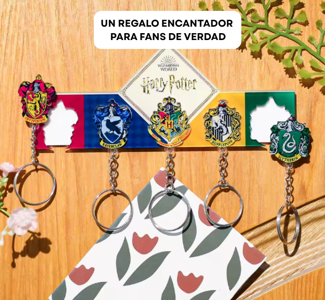 Harry Pack - 4 Casas + Colgador de Llaves